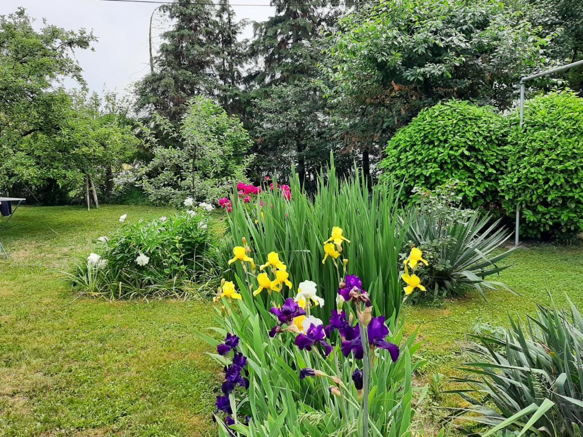 Apartamento Magnolija Banja Luka Exterior foto